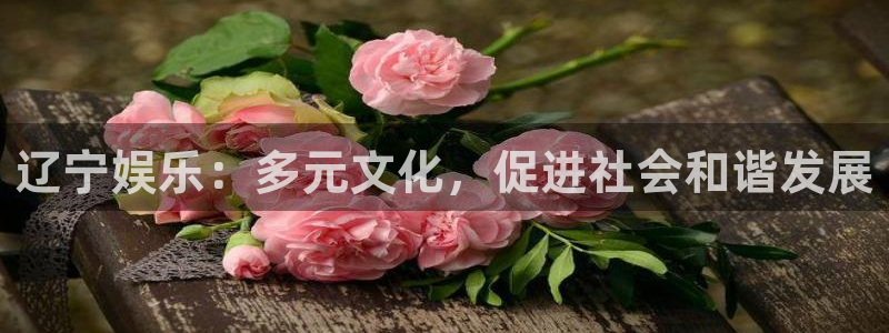 太阳成集团tyc9728：辽宁娱乐：多元文化，促进社会和谐发展