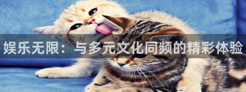 太阳成集团tyc9728：娱乐无限：与多元文化同频的精彩体验