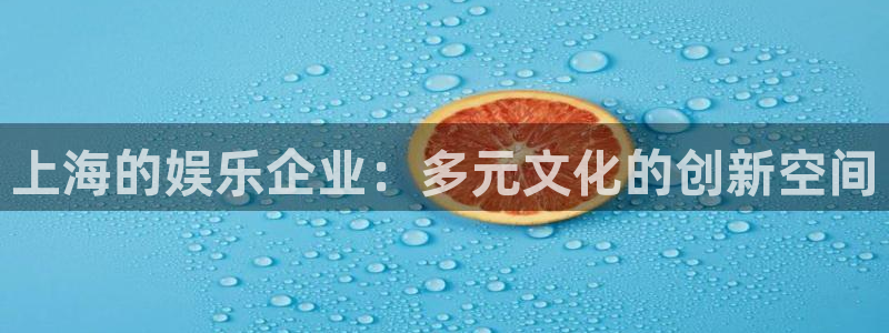 太阳成集团tyc9728：上海的娱乐企业：多元文化的创新空间