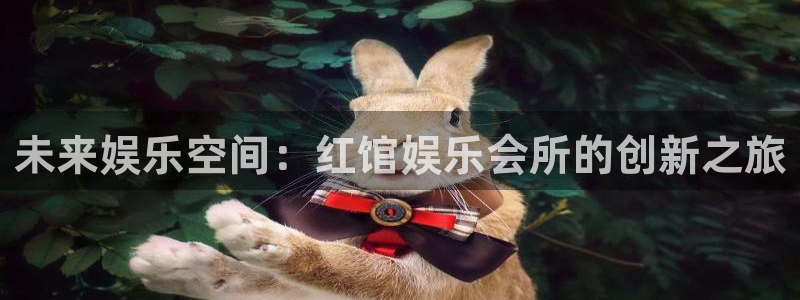 太阳成集团tyc9728：未来娱乐空间：红馆娱乐会所的创新之旅