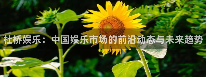 太阳成集团tyc9728：杜桥娱乐：中国娱乐市场的前沿动态与未来趋势